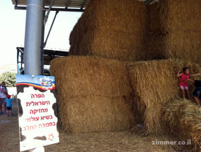 הכפר%20הירוק%20-%20ריצת%20ניווט%20,%20הכפר%20הירוק